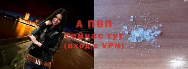 ГАЛЛЮЦИНОГЕННЫЕ ГРИБЫ Лабытнанги
