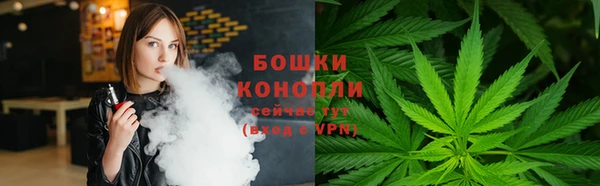 ПСИЛОЦИБИНОВЫЕ ГРИБЫ Абаза