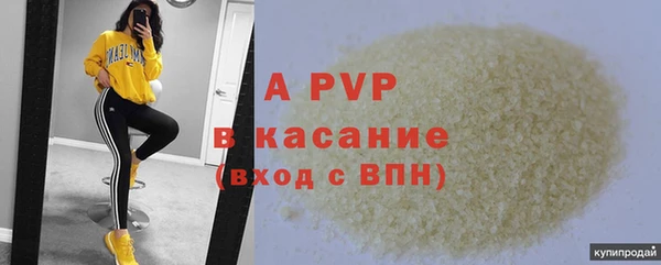 ПСИЛОЦИБИНОВЫЕ ГРИБЫ Абаза