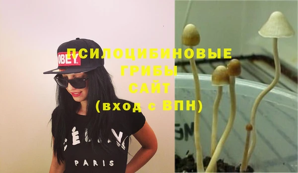 прущая мука Абинск